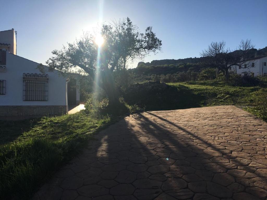 マラガ Casa Rural El Alamoヴィラ エクステリア 写真